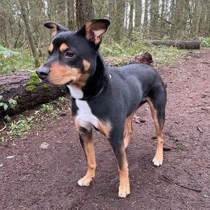 Meet your Posher, Patrick